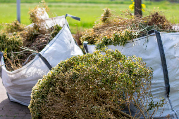 Best Hoarding Cleanup  in Felida, WA