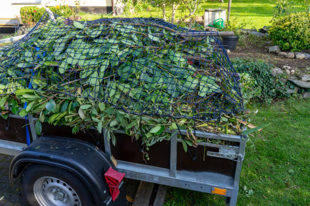 Best Property Management Cleanouts  in Felida, WA